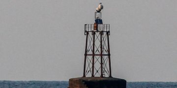 faros 500