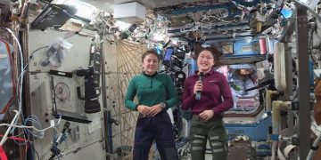 w05 95018iss