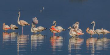 Article featured img1 768x600