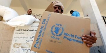 w09 121931w08144113WFP