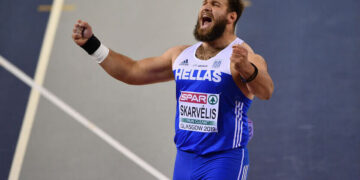 Skarvelis