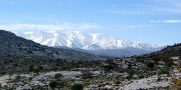 psiloritis
