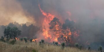 Σε πύρινο κλοιό η χώρα: 141 δασικές πυρκαγιές το 3ήμερο - Τα μέτωπα που είναι σε εξέλιξη