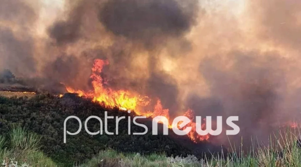 Φωτιά στα Άγναντα: Οι φλόγες «έγλειψαν» τα σπίτια – Μάχη πυροσβεστών και πολιτών να τα σώσουν