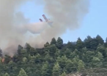 Μεγάλη φωτιά στο Άγιο Όρος - Ενισχύονται οι πυροσβεστικές δυνάμεις
