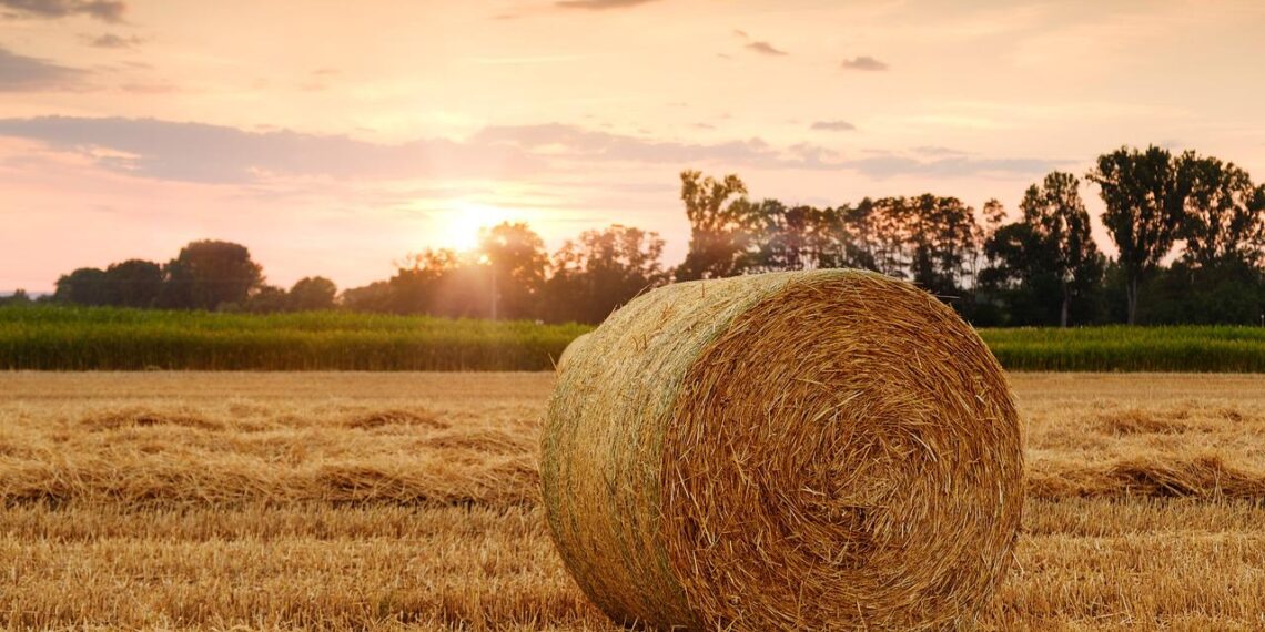 Δημοσιεύθηκε το ΦΕΚ για απαλλαγή από τον φόρο εισοδήματος επί των κερδών από αγροτική επιχειρηματική δραστηριότητα