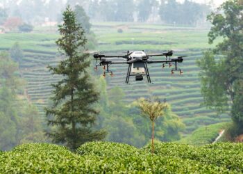 Αναδάσωση στα Γεράνεια Όρη με σπορά από drone