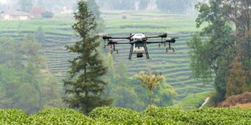Αναδάσωση στα Γεράνεια Όρη με σπορά από drone