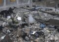 Σεισμός Τουρκία: Ανείπωτη τραγωδία με πάνω από 500 νεκρούς – Σκηνές χάους και στη Συρία