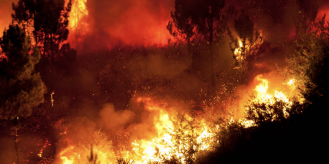 Πολύ υψηλός κίνδυνος πυρκαγιάς σε έξι περιφέρειες της χώρας σήμερα