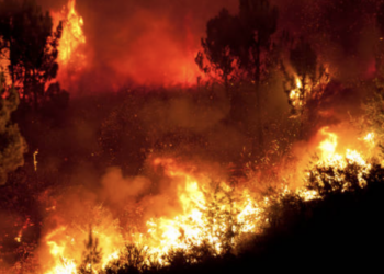 Πολύ υψηλός κίνδυνος πυρκαγιάς σε έξι περιφέρειες της χώρας σήμερα