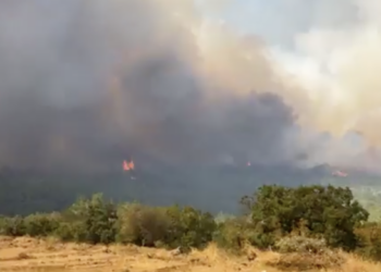 Σε πλήρη εγρήγορση και ετοιμότητα η ΕΛ.ΑΣ. για την πυρκαγιά στην Αλεξανδρούπολη