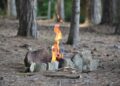 Δασικές πυρκαγιές: Οδηγίες αυτοπροστασίας 