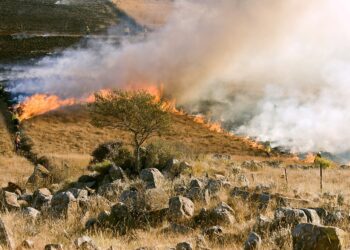 Υπό μερικό έλεγχο τέθηκαν οι πυρκαγιές σε Βάρη, Βούλα, Κορωπί και Γραμματικό Αττικής καθώς και στη Καμπιά Χίου